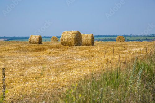 Rural landscape with wheat field after harvesting