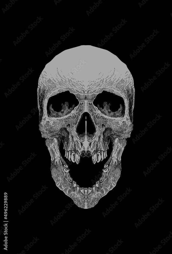 Obraz premium Dark art Art work Skull Demon Head human Illustration Black art Ornament