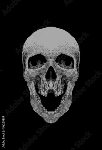 Dark art Art work Skull Demon Head human Illustration Black art Ornament