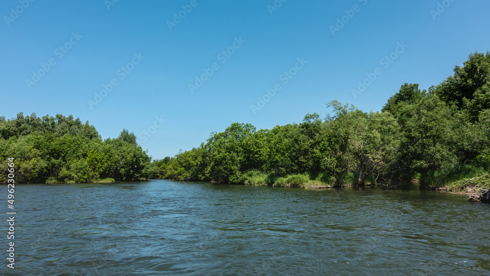 A calm blue river flows between the green banks. Lush coastal vegetation. Clear azure sky. A sunny summer day. Kamchatka