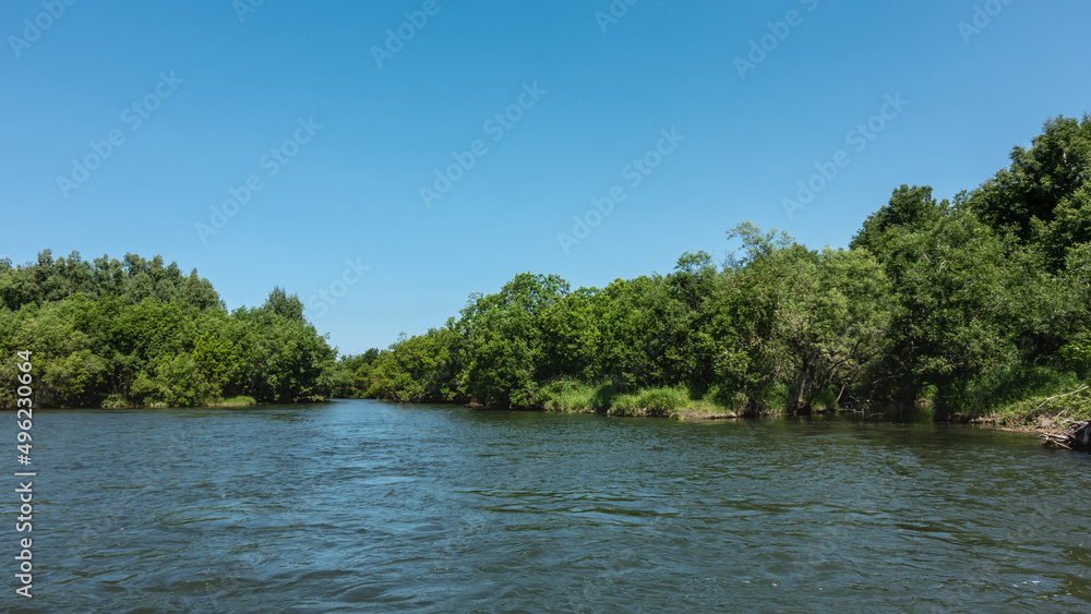 A calm blue river flows between the green banks. Lush coastal vegetation. Clear azure sky. A sunny summer day. Kamchatka A calm blue river flows between the green banks. Lush coastal vegetation. Clear azure sky. A sunny summer day. Kamchatka