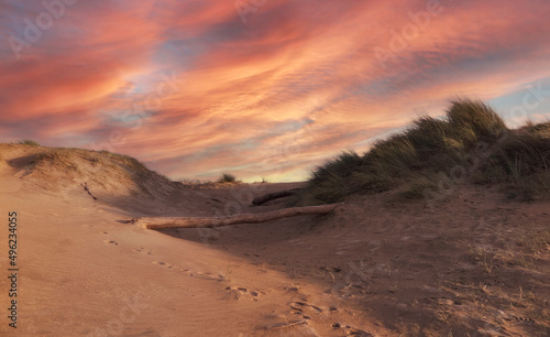 Beautiful sand dunes at Puntal beach. Laredo Beach, Spain © carlos perez gomez