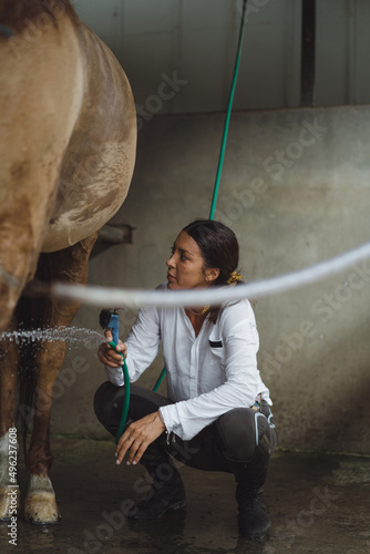 Woman groomer washes a horse's hooves after class at the hippodrome. A woman takes care of a horse, washes the horse after training.