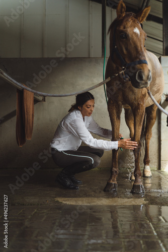 Woman groomer washes a horse's hooves after class at the hippodrome. A woman takes care of a horse, washes the horse after training.