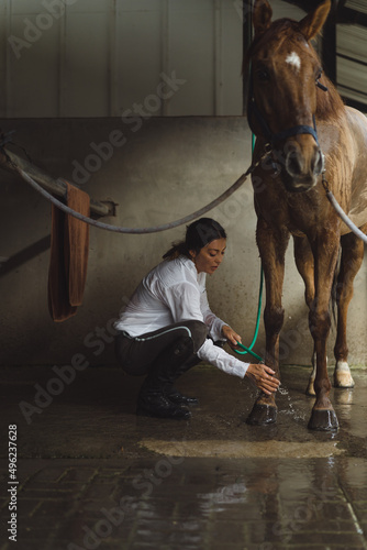 Woman groomer washes a horse's hooves after class at the hippodrome. A woman takes care of a horse, washes the horse after training.
