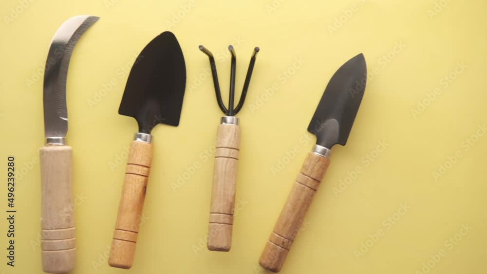 gardening tools and plant on a table with copy space 