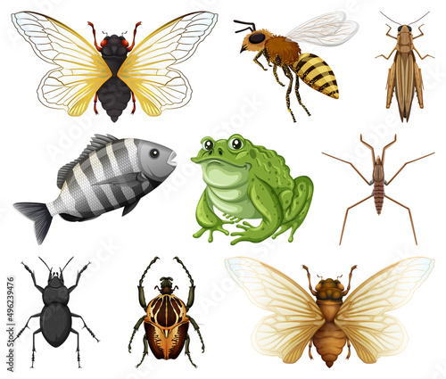 Different kinds of insects and animals on white background © blueringmedia