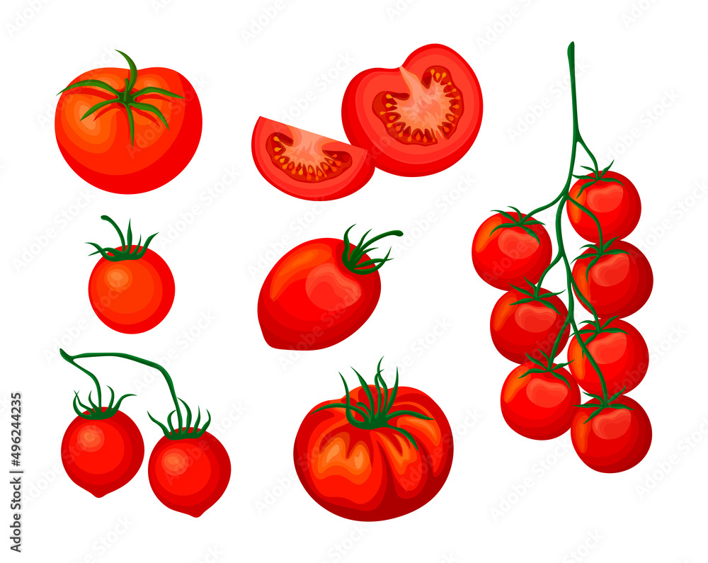 Set of fresh red tomatoes in cartoon style. Vector illustration of vegetables whole and cut, in slices, on large and small crowns on white background. Set of fresh red tomatoes in cartoon style. Vector illustration of vegetables whole and cut, in slices, on large and small crowns on white background.