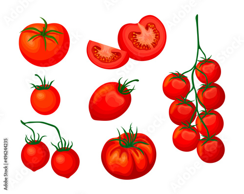 Set of fresh red tomatoes in cartoon style. Vector illustration of vegetables whole and cut, in slices, on large and small crowns on white background.