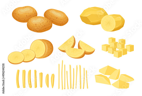 Set of fresh potatoes in cartoon style. Vector illustration of vegetables whole and cut into slices, halves, cubes and straws on white background.