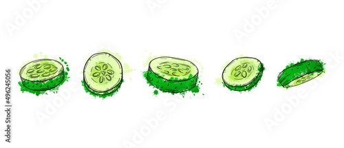 Vegetables sliced cucumber. Hand drawn sketch green watercolor painting on white background. Grunge texture graphic vector illustration. For menu, poster, pizza or salad recipe. 