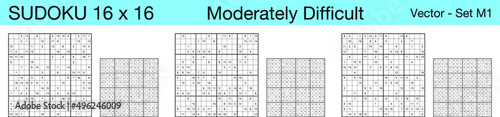 A set of 3 moderately difficult scalable sudoku 16x16 puzzles suitable for kids, adults and seniors and ready for web use, or to be compiled into a standard or large print activity book.