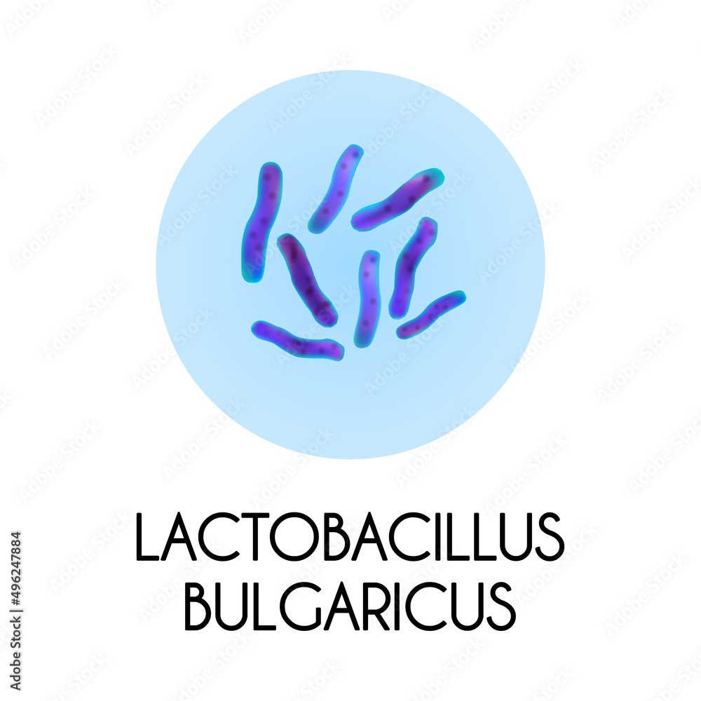 Realistic Bacteria Illustration Realistic Bacteria Illustration