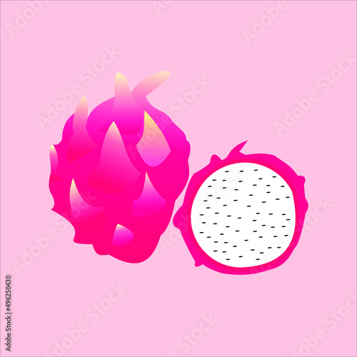 hand drawn animated dragon fruit illustration