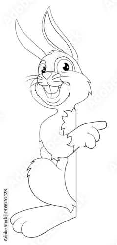 Easter Bunny Rabbit Cartoon...