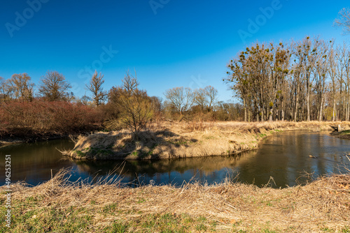 Meandering Odra river in early springtime CHKO Poodri in Czerch republic photo