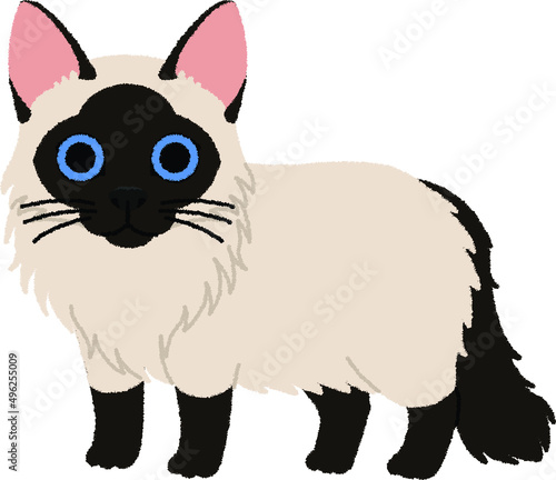 バリニーズの猫イラスト