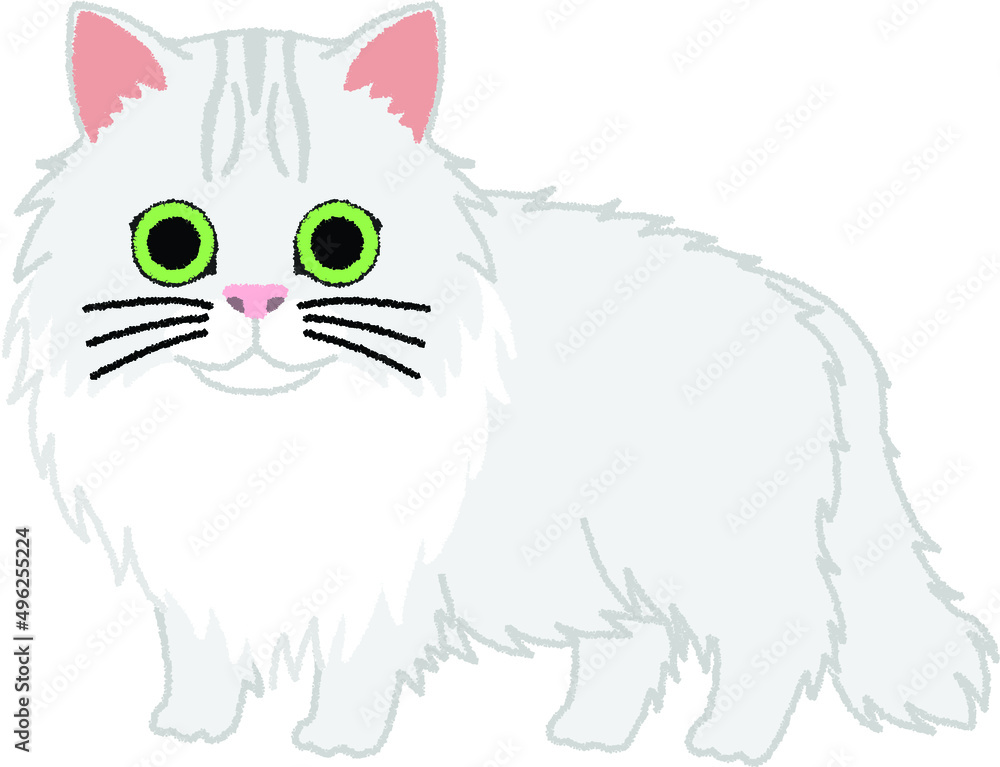 チンチラ ペルシャ の猫イラスト Stock Vector Adobe Stock