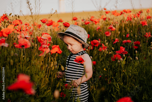 A child in poppies. Red poppies. Summer day.