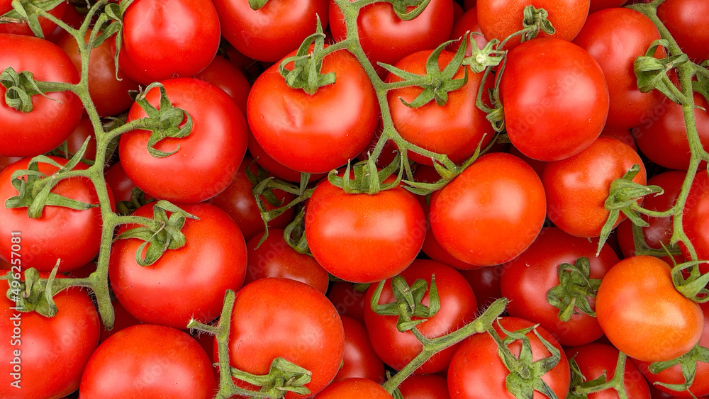 fresh fragrant tomatoes from the branch