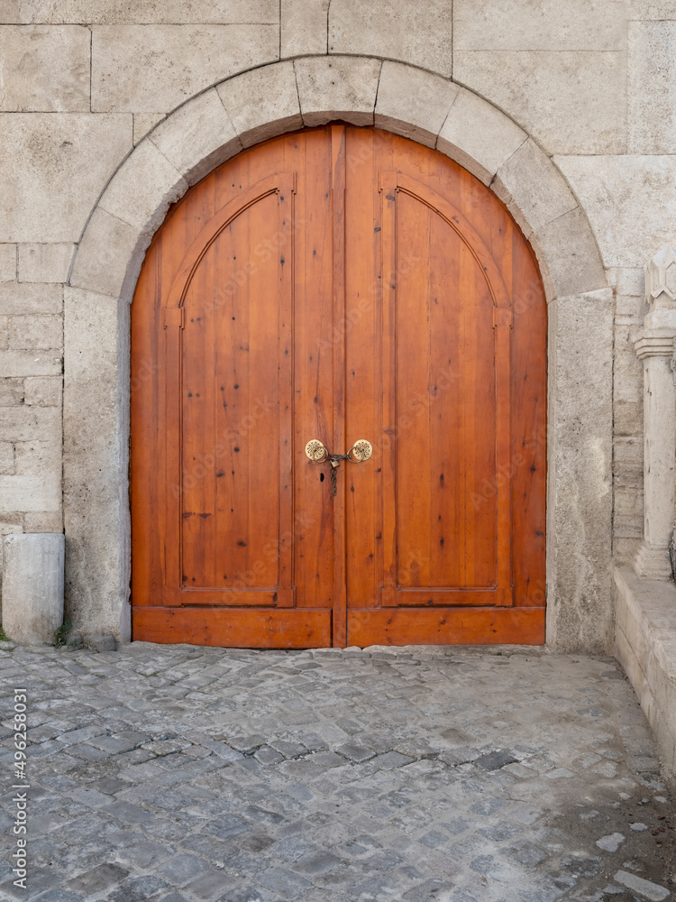 historical wooden door texture background, front view