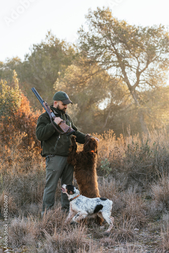 Hunter man holding a shotgun while hunting with his dogs outdoors in the field.