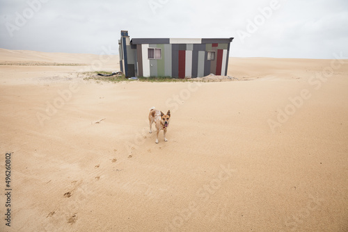 Tin City, Port Stephens, NSW, Australia photo