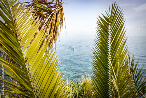palm leaves, view of sea, cyclops coast, aci trezza, sicily, italy, europe, catania photo