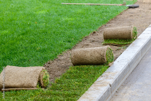 Obraz na płótnie Restoration of a lawn covering with the help of a rolled lawn. Real grass in peat rolls. Quick way to improve the territory w salonie