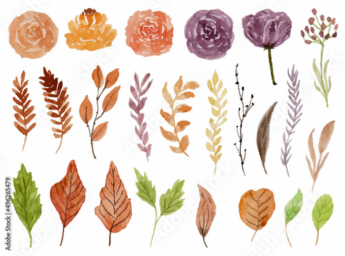 a set of spring dried flower watercolor collection 