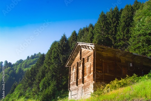 Ayder Mountain House photo