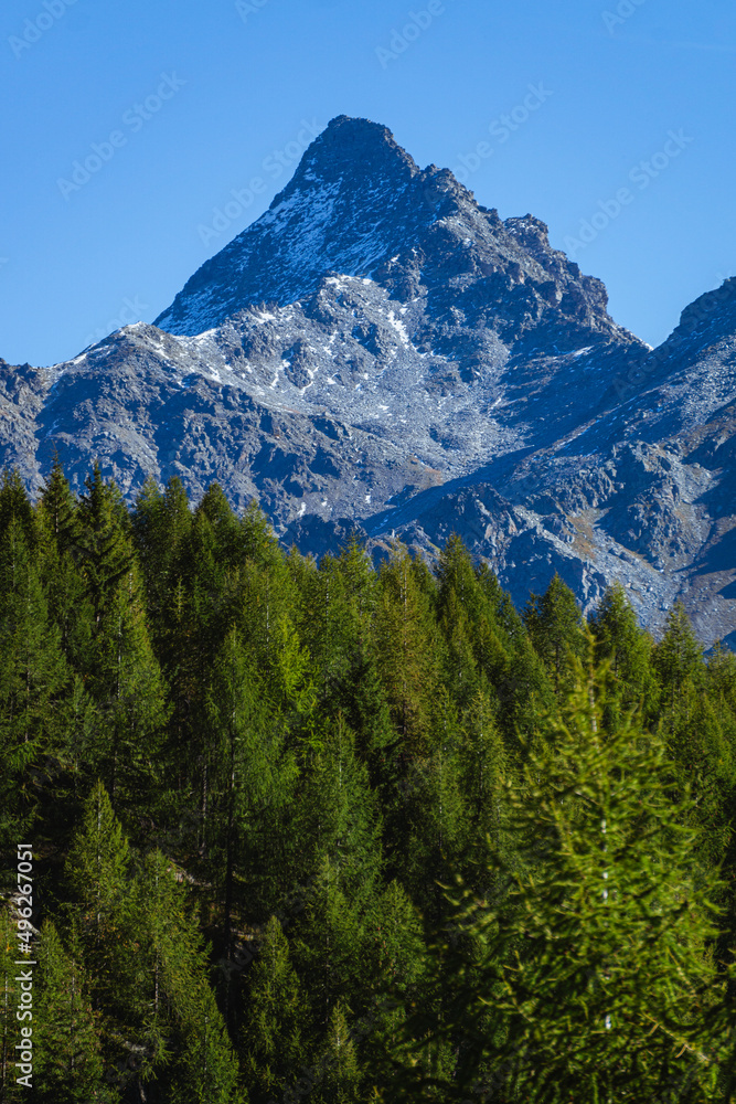 The mountains and the beauty of nature and woods of the Spluga valley: a tourist area in the Italian Alps, near the town of Campodolcino - September 2021.