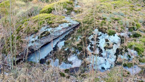 moss on the rocks