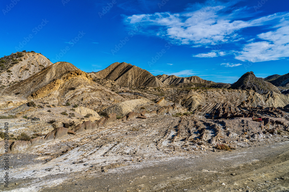 Dragon Tail, Colas de Dragon in Tabernas Desert in Almeria, Spain