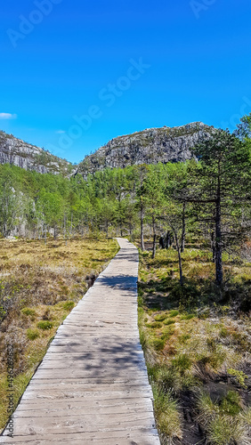 A marvelous pathway leading to the hidden adventures in the mountains. The pathway is made of wooden railings. Both sides of it overgrown with trees. In the back tall mountains emerging. Clear sky.