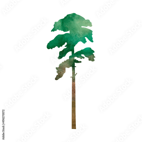 Hand painted watercolor illustration of pine tree silhouette. Isolated objects on white background.