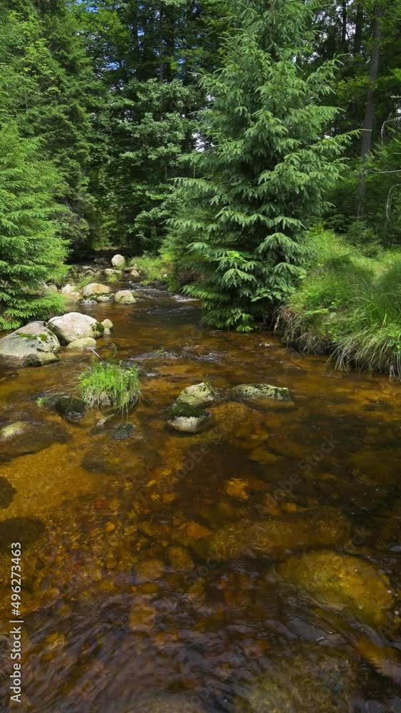 Kleine Ohe stream at Bavarian Forest National Park, Germany Kleine Ohe stream at Bavarian Forest National Park, Germany