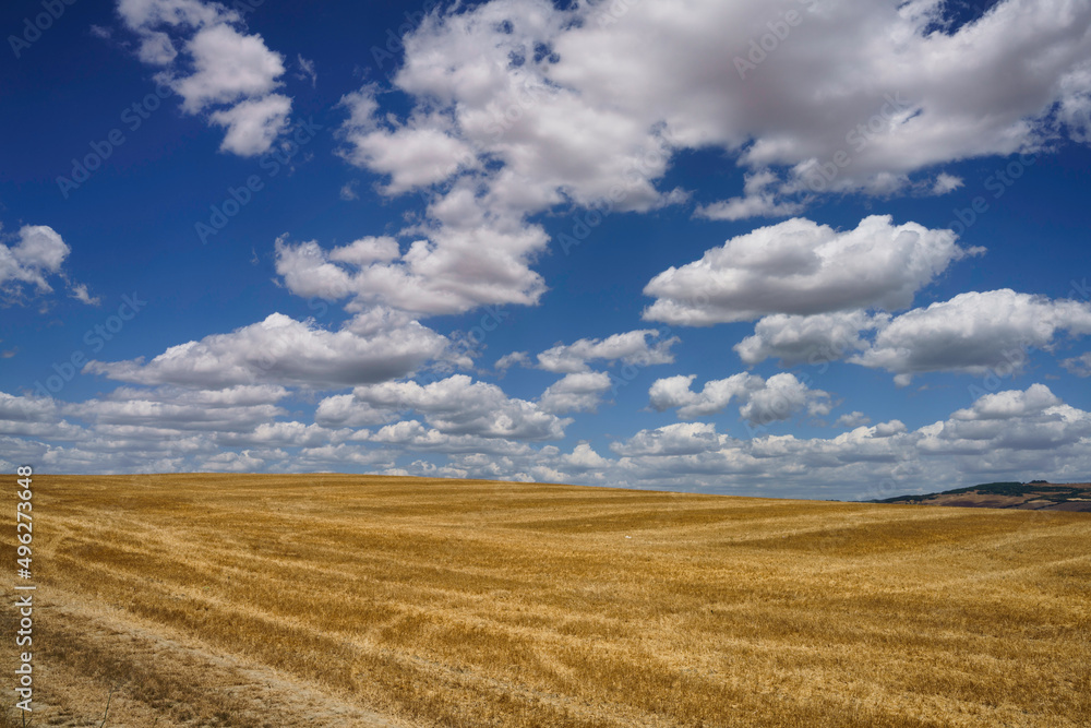 Rural landscape along the Cassia near Radicofani, Tuscany Rural landscape along the Cassia near Radicofani, Tuscany