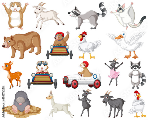 Set of different kinds of animals