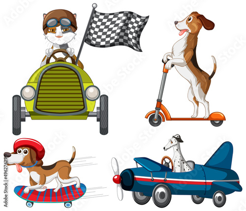 Many animals driving car plane and playing skate