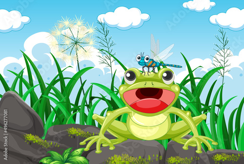 Frog living in nature