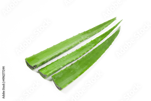 Green fresh sliced aloe vera isolated on white background.