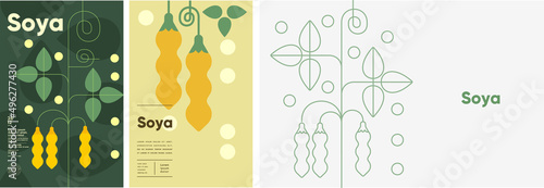 Soya. Food and natural products. Set of vector illustrations. Geometric, simple, linear style. Label, cover, price tag, background.