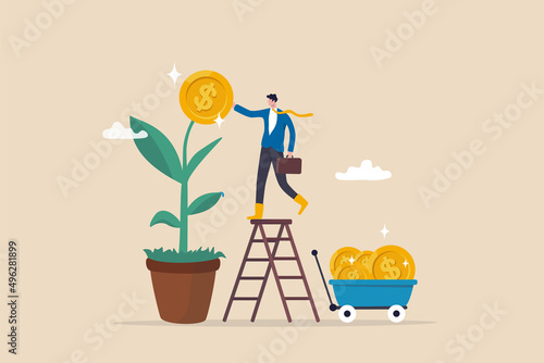 Harvest money from investment profit or earning, growing wealth or stock market prosperity, economic boom, savings or investing concept, businessman harvesting dollar coin from growing money tree. photo