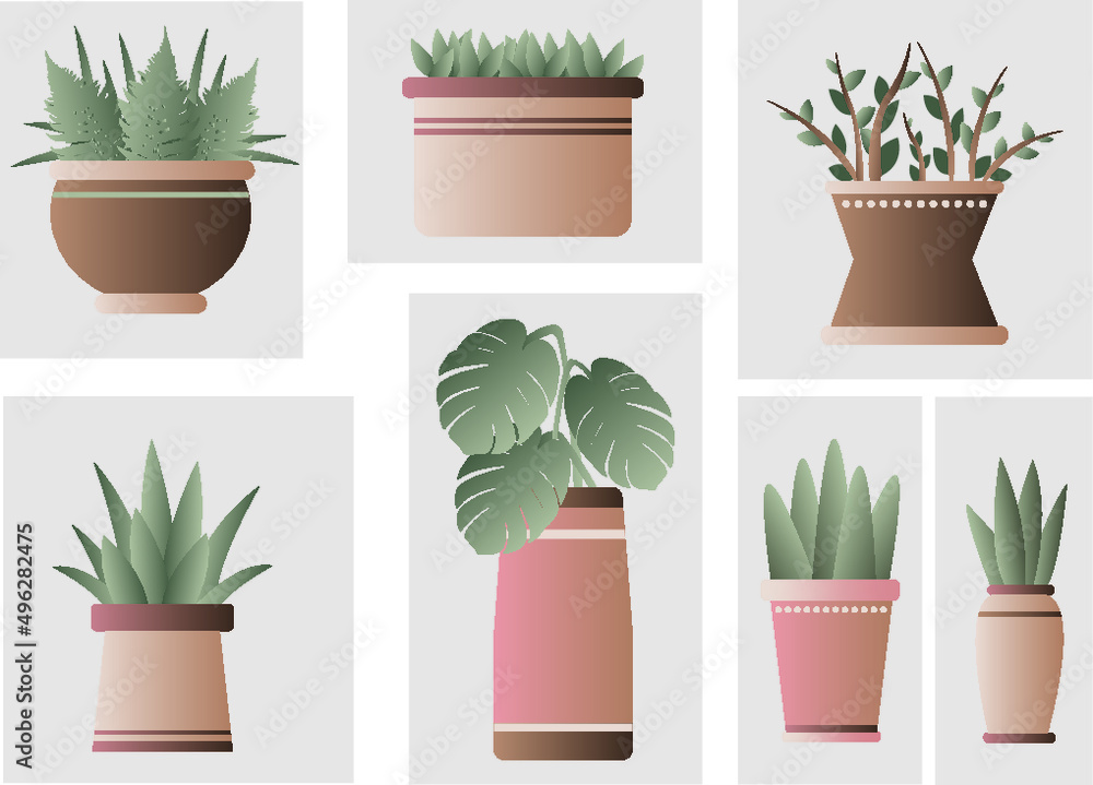 Flat illustration plants in flower vases Flat illustration plants in flower vases