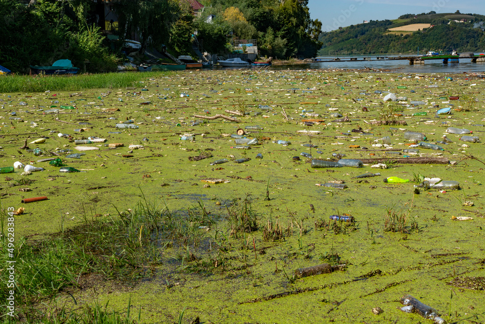 zanieczyszczone jezioro