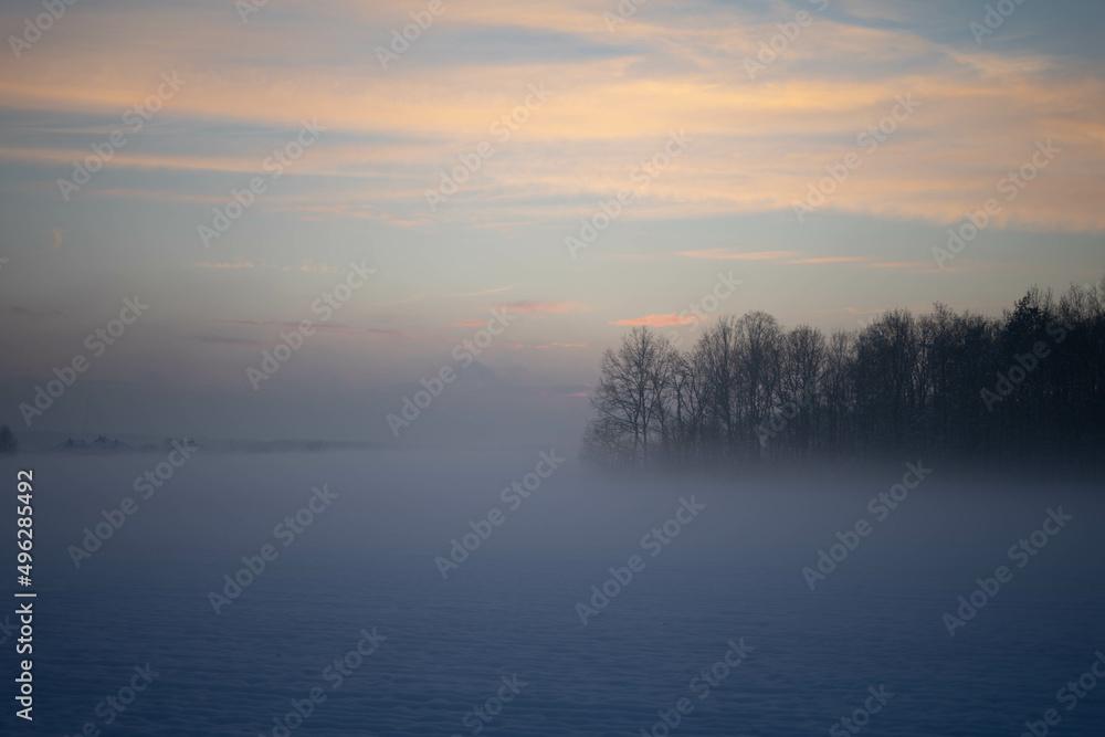 foggy day in winter
