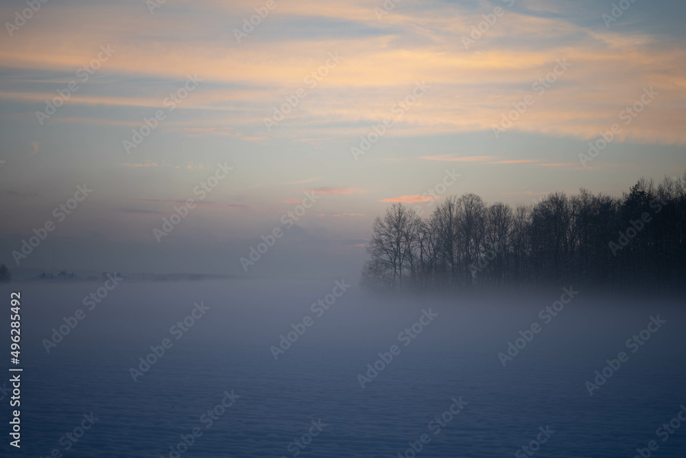 Fototapeta premium foggy day in winter