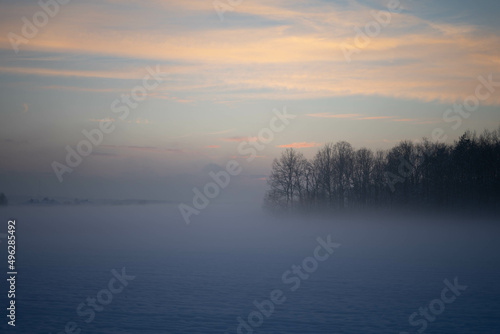foggy day in winter © Michał Matiaszczyk