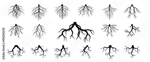 Collection of Tree Roots. Vector outline Illustration. Plant in Garden.